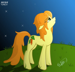 Size: 500x477 | Tagged: safe, artist:diazdavid166, carrot top, golden harvest, g4