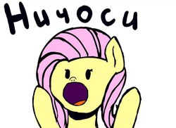 Size: 811x591 | Tagged: safe, fluttershy, g4, female, meme, nichosi, open mouth, russian, solo, surprised, text