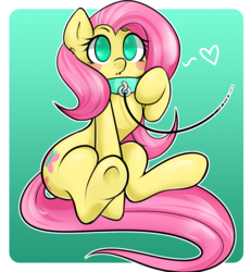 Size: 1200x1300 | Tagged: safe, artist:pleasure-sloth, fluttershy, g4, blushing, collar, cute, female, flutterpet, heart, leash, pet play, pony pet, shyabetes, solo, stupid sexy fluttershy, underhoof