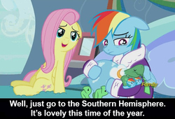 Size: 500x340 | Tagged: safe, edit, edited screencap, screencap, fluttershy, rainbow dash, tank, g4, tanks for the memories