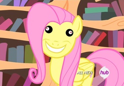 Size: 1036x720 | Tagged: safe, edit, edited screencap, screencap, fluttershy, g4, creepypasta, derp, faic, female, grimderp, nightmare fuel, solo, spoopy, zalgo