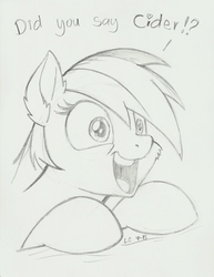 Size: 1275x1650 | Tagged: safe, artist:latecustomer, rainbow dash, pegasus, pony, g4, cider, cider dash, excited, female, mare, monochrome, simple background, sketch, solo, that pony sure does love cider, traditional art