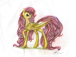 Size: 2852x2145 | Tagged: safe, artist:manu-nya, fluttershy, g4, female, high res, looking back, raised hoof, simple background, solo, traditional art