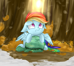 Size: 1452x1281 | Tagged: safe, artist:segraece, rainbow dash, tank, pony, g4, my little pony: friendship is magic, tanks for the memories, animal, fanart, floppy ears, looking away, looking up, sad