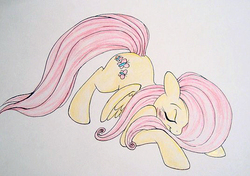 Size: 536x377 | Tagged: safe, artist:prettypinkpony, fluttershy, pegasus, pony, g4, bowing, female, solo, traditional art