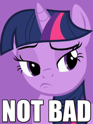 Size: 450x600 | Tagged: safe, edit, edited screencap, screencap, twilight sparkle, g4, the mysterious mare do well, caption, female, image macro, meme, not bad, reaction image, solo