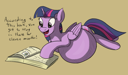 Size: 1031x603 | Tagged: safe, artist:variant, twilight sparkle, oc, oc:anon, alicorn, pony, g4, belly, book, dialogue, female, fetish, implied unbirthing, mare, ponies eating humans, pregnant, simple background, twilight sparkle (alicorn), twipred, vore