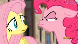 Size: 1466x824 | Tagged: safe, screencap, fluttershy, pinkie pie, earth pony, pegasus, pony, g4, season 5, the cutie map, discovery family, discovery family logo, faic, female, logo, mare, pouting, when she doesn't smile