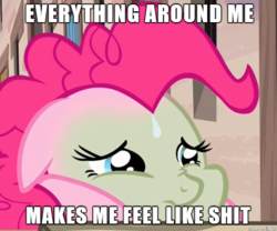 https://derpicdn.net/img/view/2015/4/4/864728__safe_pinkie+pie_meme_screencap_text_sick_spoiler-colon-s05e01_whinnie+the+pink.png