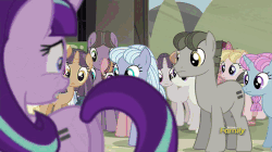 Size: 500x280 | Tagged: safe, screencap, amber tresses, amethyst skim, bacon braids, cloud brûlée, dusk drift, magnolia blush, night glider, party favor, starlight glimmer, sugar belle, earth pony, pegasus, pony, unicorn, g4, the cutie map, animated, caught, crazy face, discovery family, discovery family logo, faic, female, male, mare, panic, stallion
