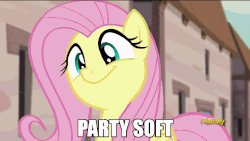 Size: 960x540 | Tagged: safe, screencap, fluttershy, pegasus, pony, g4, season 5, the cutie map, animated, blinking, cute, discovery family, discovery family logo, female, flutterbob, house, image macro, logo, mare, meme, party soft, shyabetes