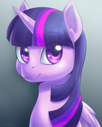 Size: 1024x1268 | Tagged: safe, artist:vividvapor, twilight sparkle, alicorn, pony, g4, female, mare, portrait, solo, twilight sparkle (alicorn)