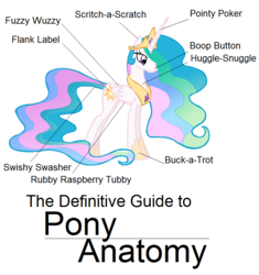 Size: 761x811 | Tagged: safe, artist:pen-mightier, princess celestia, g4, anatomy, anatomy guide, fanfic art, female, simple background, solo, text, the definitive guide to pony anatomy, white background