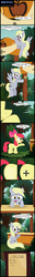 Size: 1032x8135 | Tagged: safe, artist:toxic-mario, apple bloom, derpy hooves, pegasus, pony, g4, my little pony: friendship is magic, the cutie map, comic, female, mare