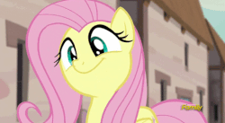 Size: 479x262 | Tagged: safe, screencap, fluttershy, pony, g4, the cutie map, animated, cute, female, flutterbob, shyabetes