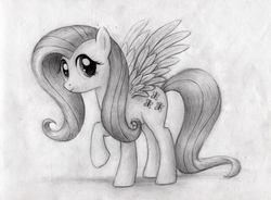 Size: 1254x922 | Tagged: safe, artist:magfen, fluttershy, g4, female, solo, traditional art
