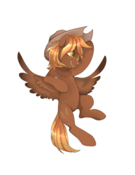 Size: 1280x1662 | Tagged: dead source, safe, artist:catzino, oc, oc only, pegasus, pony, cowboy hat, floating, freckles, hat, simple background, solo, transparent background