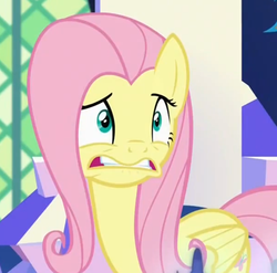 Size: 901x889 | Tagged: safe, screencap, fluttershy, g4, the cutie map, female, solo