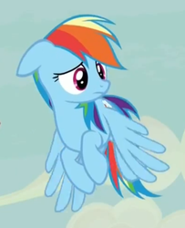 Size: 595x731 | Tagged: safe, screencap, rainbow dash, g4, the cutie map, female, flying, reaction image, solo