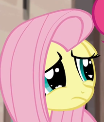 Size: 854x996 | Tagged: safe, screencap, fluttershy, g4, the cutie map, female, reaction image, solo