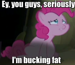 Size: 463x399 | Tagged: safe, edit, edited screencap, screencap, pinkie pie, g4, the cutie map, eric cartman, fat, female, image macro, meme, pudgy pie, solo, south park, winnie the pink