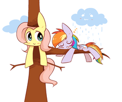 Size: 1200x1000 | Tagged: safe, artist:joycall6, fluttershy, rainbow dash, g4, :3, fluttertree, rain, sleeping, tree costume, zzz