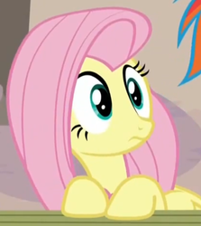 Size: 623x697 | Tagged: safe, screencap, fluttershy, rainbow dash, pony, g4, my little pony: friendship is magic, the cutie map, female, reaction image, solo