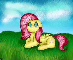 Size: 979x816 | Tagged: safe, artist:scarletcurl, fluttershy, g4, female, solo