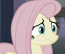 Size: 1205x1003 | Tagged: safe, screencap, fluttershy, g4, the cutie map, female, reaction image, solo