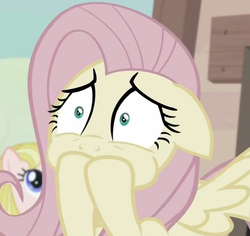 Size: 1055x995 | Tagged: safe, screencap, fluttershy, g4, the cutie map, female, reaction image, solo