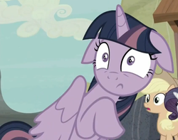 Size: 1268x999 | Tagged: safe, screencap, rarity, twilight sparkle, alicorn, pony, g4, season 5, the cutie map, female, floppy ears, mare, reaction image, scared, shut up twilight, solo, startled, twilight sparkle (alicorn)