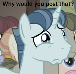 Size: 375x363 | Tagged: safe, screencap, cloud brûlée, currant dust, magnolia blush, party favor, sunny song, pony, unicorn, g4, the cutie map, crying, cute, equalized, favorbetes, image macro, male, meme, reaction image, solo focus, stallion, why would you post that