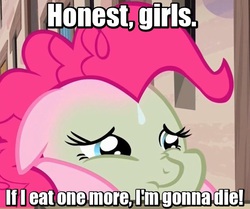 Size: 532x444 | Tagged: safe, edit, edited screencap, screencap, pinkie pie, earth pony, pony, g4, the cutie map, animaniacs, baked bads, cropped, female, green face, image macro, mare, meatball or consequences, meme, nauseous, sick, solo, sweat, sweatdrop, wakko warner, winnie the pink