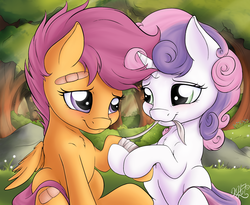 Size: 2500x2050 | Tagged: safe, artist:nobody47, scootaloo, sweetie belle, g4, bandage, bandaid, blushing, chest fluff, cover art, fanfic, female, high res, hoof hold, lesbian, mouth hold, scootalove, ship:scootabelle, shipping, smiling