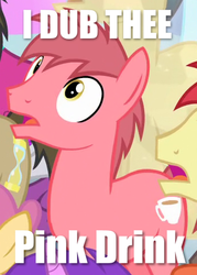 Size: 348x486 | Tagged: safe, edit, edited screencap, screencap, amethyst star, dizzy twister, doctor whooves, don neigh, orange swirl, pink drink, sparkler, time turner, earth pony, pony, equestria games (episode), g4, background pony, equestria games, image macro, male, meme, naming, solo focus, stallion, text
