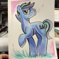 Size: 600x600 | Tagged: safe, artist:sara richard, oc, oc only, earth pony, pony, solo, traditional art, whistling