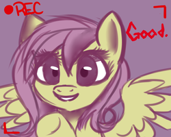 Size: 1280x1024 | Tagged: safe, artist:askflutterpsycho, fluttershy, g4, camera shot, eyes open, female, mare, recording, solo, wings