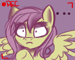 Size: 1280x1024 | Tagged: safe, artist:askflutterpsycho, fluttershy, pegasus, pony, g4, camera shot, eyes open, recording, shocked, shocked expression, wings