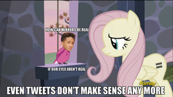 Size: 1366x768 | Tagged: safe, edit, edited screencap, screencap, fluttershy, g4, the cutie map, even tweets don't make sense anymore, image macro, jaden smith, meme, text