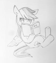 Size: 904x1024 | Tagged: safe, artist:yamakurayamada, rainbow dash, g4, book, female, grayscale, japanese, monochrome, reading, solo, traditional art