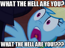 Size: 600x440 | Tagged: safe, screencap, rainbow dash, g4, image macro, meme, predator, scared