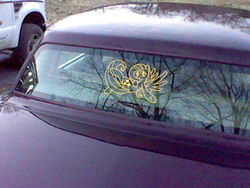 Size: 640x480 | Tagged: safe, fluttershy, pegasus, pony, g4, cadillac, car, decal, irl, photo