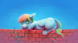 Size: 5000x2754 | Tagged: safe, artist:sharpieboss, rainbow dash, g4, blank flank, brick wall, female, solo