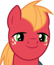 Size: 6000x7225 | Tagged: safe, artist:dasprid, big macintosh, earth pony, pony, filli vanilli, g4, absurd resolution, face, male, simple background, solo, stallion, transparent background, vector