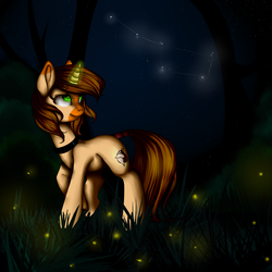 Size: 1000x1000 | Tagged: safe, artist:catzino, oc, oc only, unnamed oc, firefly (insect), insect, pony, unicorn, collar, constellation, night, solo, stars