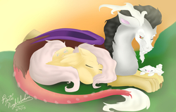 Size: 5500x3500 | Tagged: safe, artist:shirofoz, angel bunny, discord, fluttershy, g4, absurd resolution, cuddling, eyes closed, female, floppy ears, male, messy mane, prone, ship:discoshy, shipping, sleeping, smiling, snuggling, straight, wavy mouth, wink