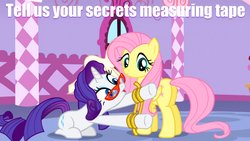 Size: 854x480 | Tagged: safe, edit, edited screencap, screencap, fluttershy, rarity, g4, image macro, measuring tape, meme