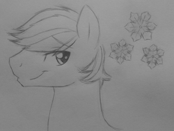 Size: 2549x1920 | Tagged: safe, artist:subimaru_kai, double diamond, g4, the cutie map, cutie mark, male, monochrome, smiling, solo, traditional art