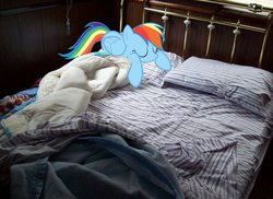 Size: 900x655 | Tagged: safe, artist:barnyardfan4, edit, rainbow dash, g4, irl, photo, ponies in real life, solo