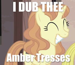 Size: 680x588 | Tagged: safe, amber tresses, g4, my little pony: friendship is magic, the cutie map, cute, equal cutie mark, image macro, in our town, meme